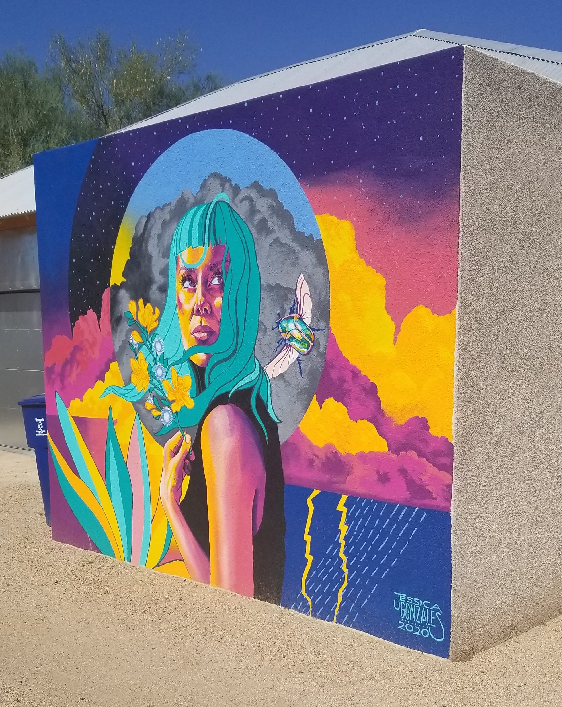 9th Ave Mural in Barrio Viejo, Tucson, Arizona