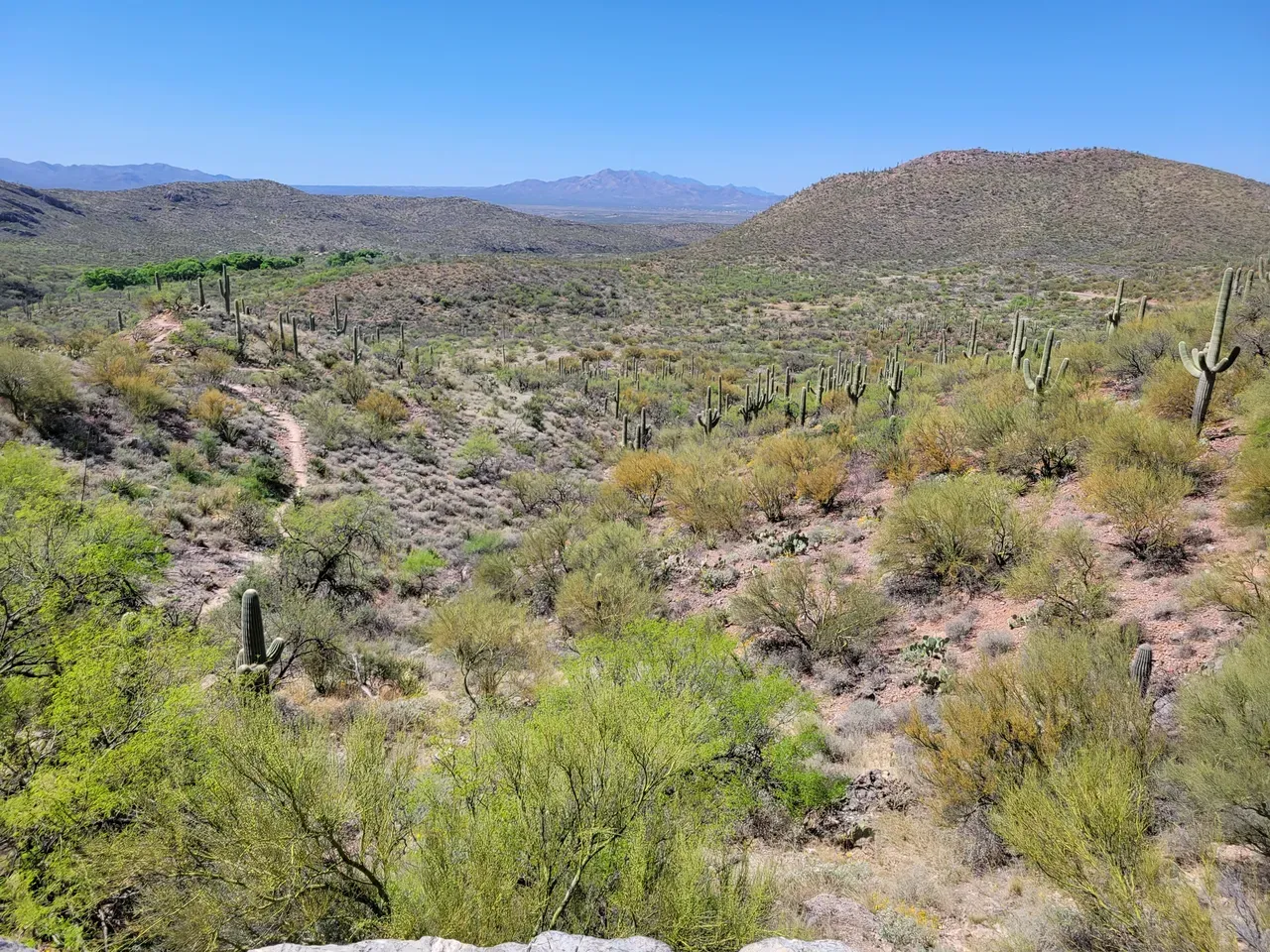 Colossal Cave hike