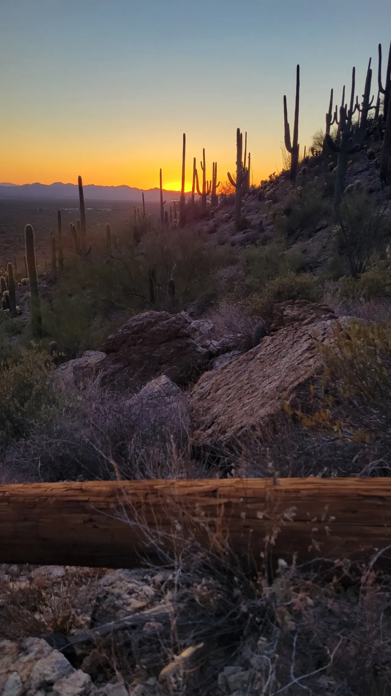 Gates Pass Tucson