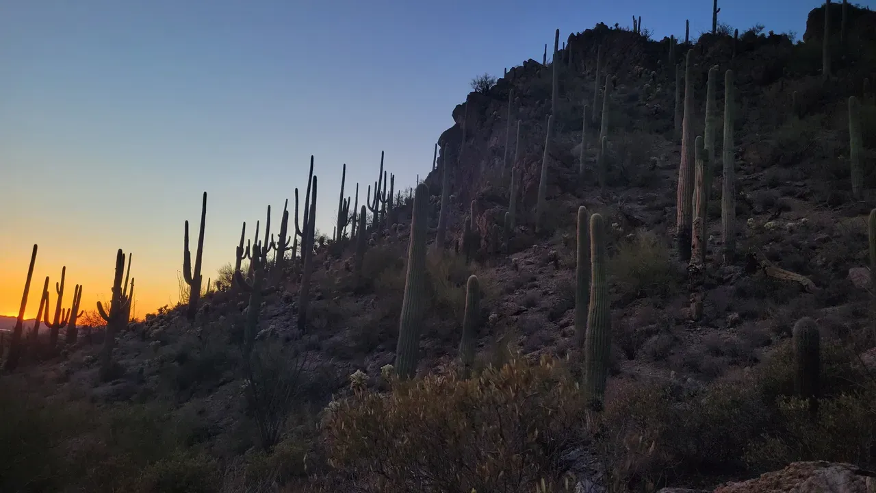 Gates Pass Tucson