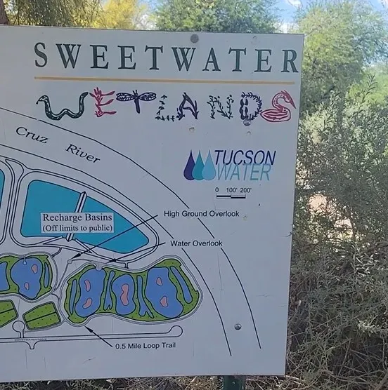 Sweetwater Wetlands Tucson