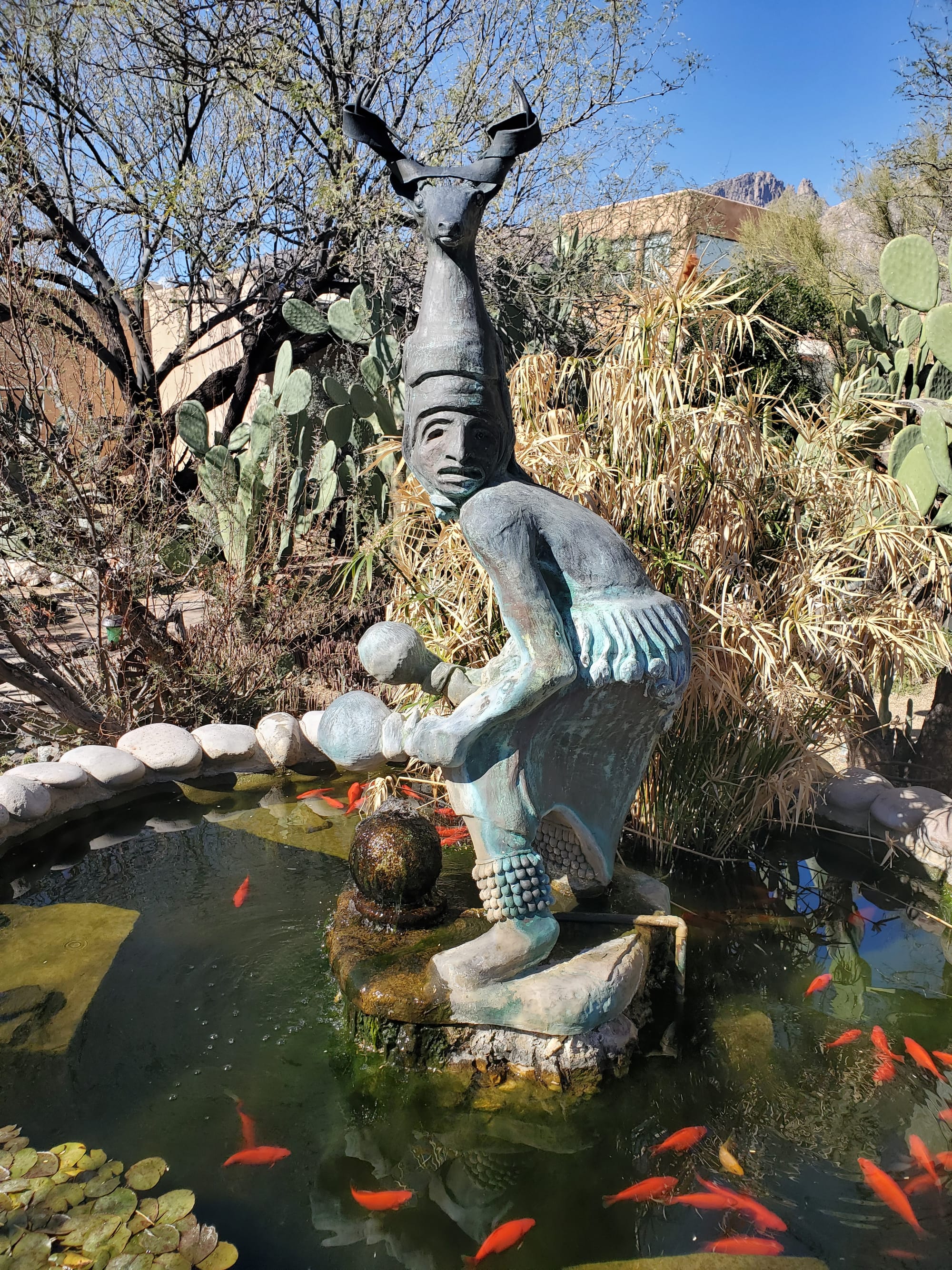 5 Places in Tucson That Tourists Miss