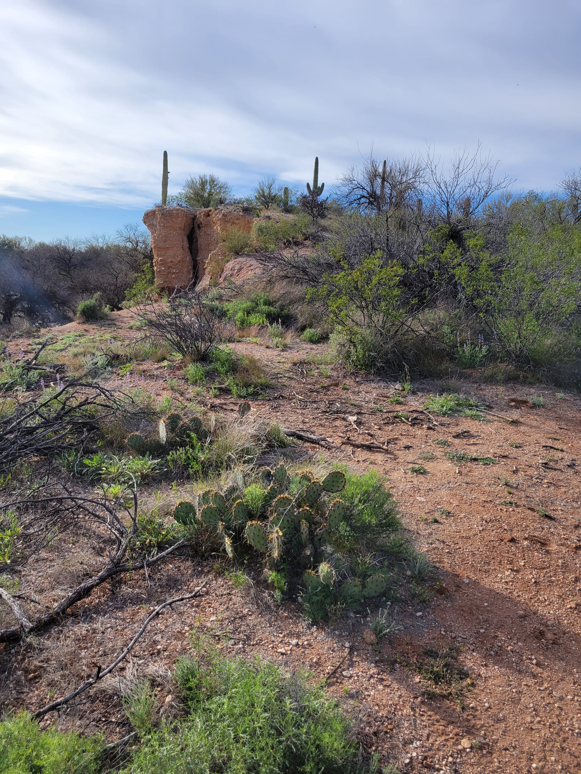 Hiking in the Heat: A Safety Guide for Summer in Arizona