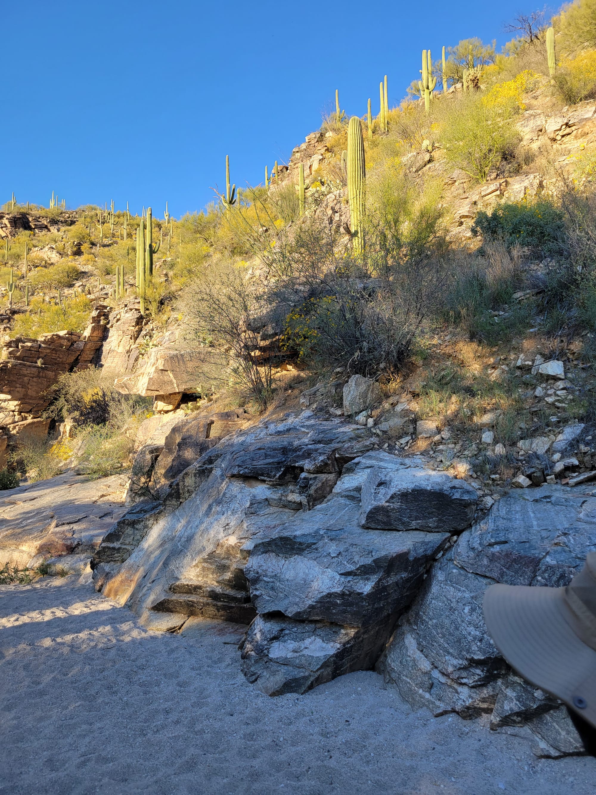 Hiking in the Heat: A Safety Guide for Summer in Arizona