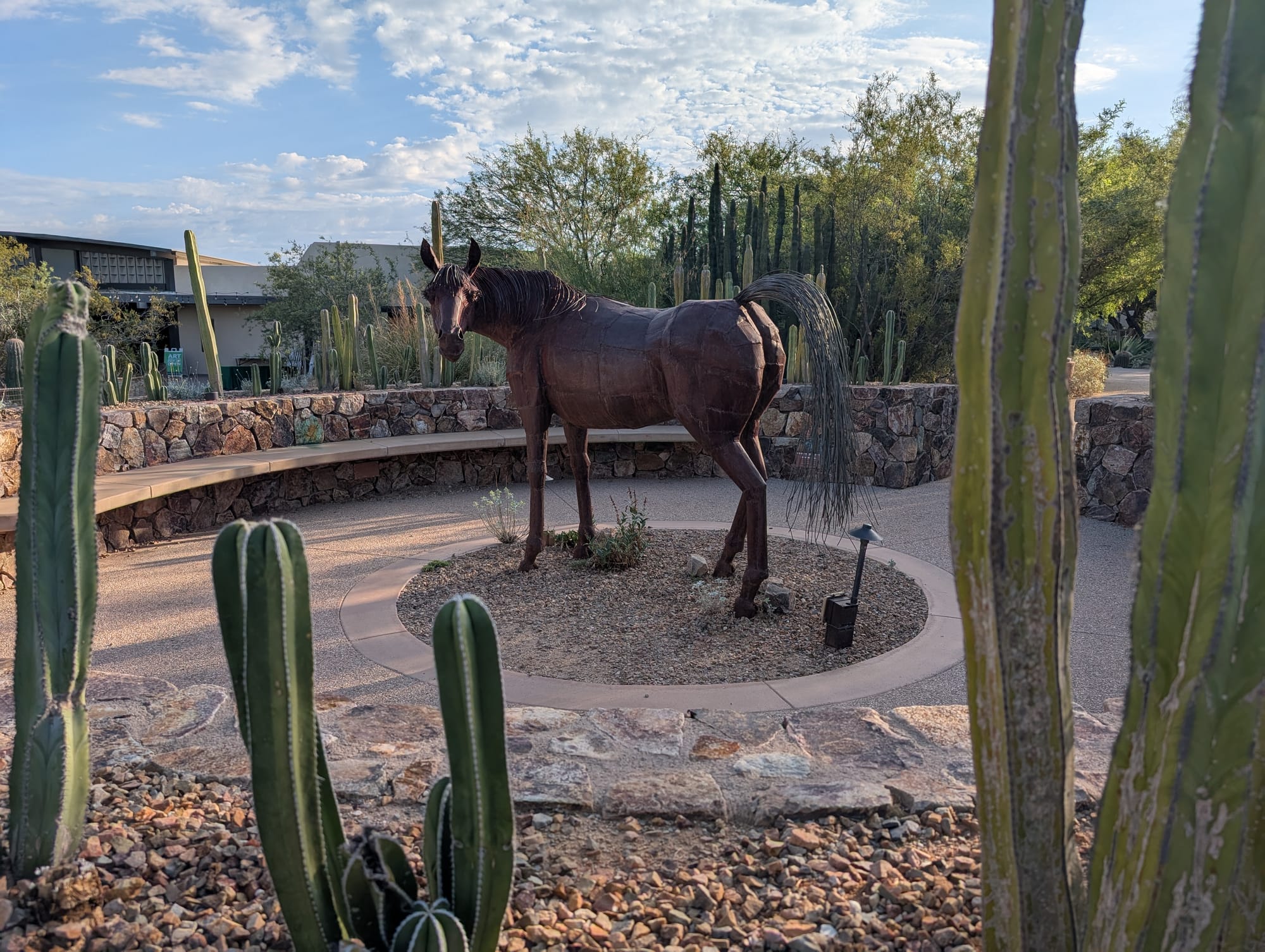 Tohono Chul: Where the Desert Grows Wild