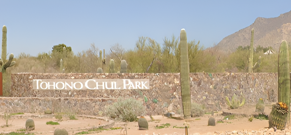Tohono Chul: Where the Desert Grows Wild