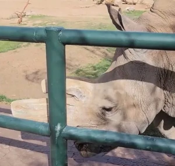Go Behind the Scenes at Reid Park Zoo