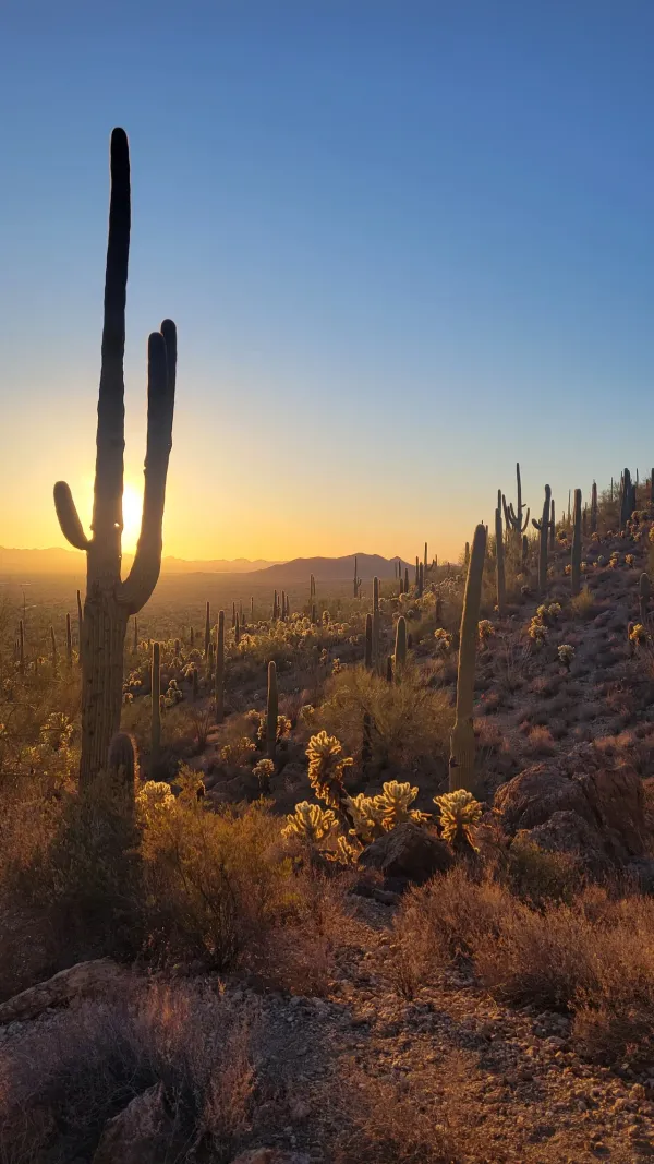 Chasing the Sunset at Gates Pass