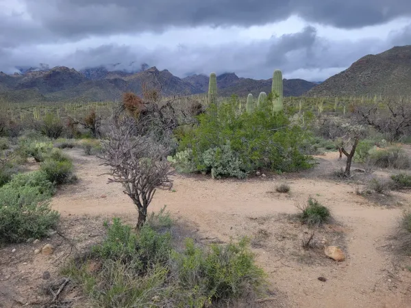 12 Arizona Hikes for 12 Months